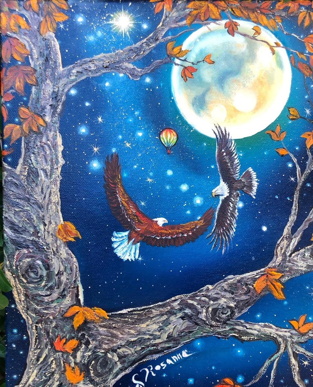 Volo Notturno Sotto la Luna
