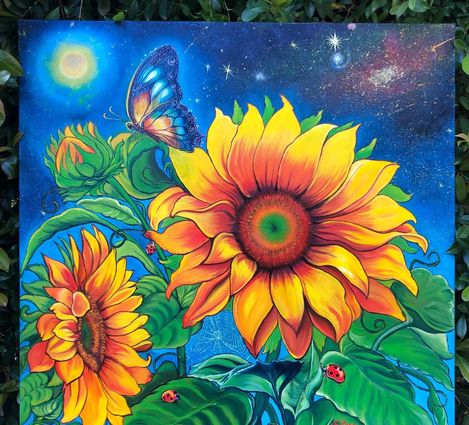 Notte di Girasoli e Sogni di Farfalla